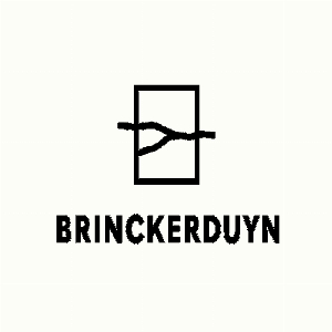 Brinckerduyn