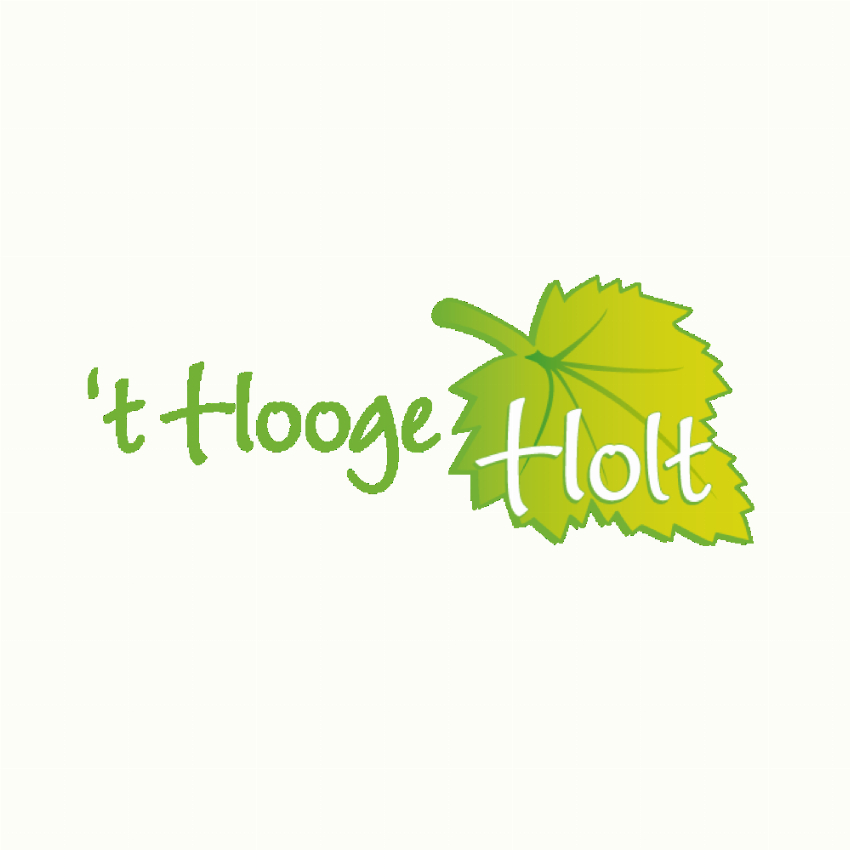 Hooge Holt
