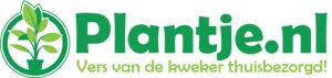 Plantje