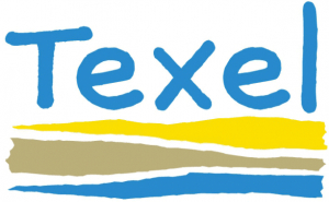 Texel